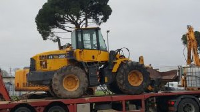 KOMATSU - WA250-5 - Cargadora de ruedas